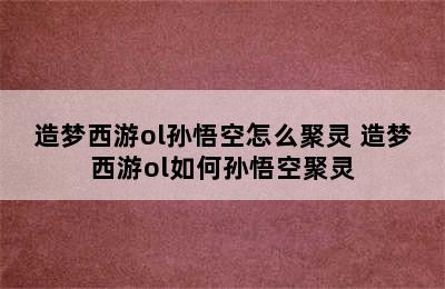 造梦西游ol孙悟空怎么聚灵 造梦西游ol如何孙悟空聚灵